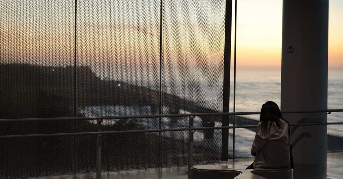 Mindfulness y la mente de principiante
