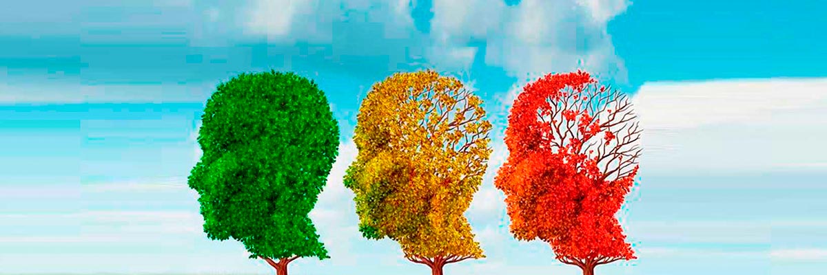 Flores de Bach para cuidadores y pacientes con Alzheimer