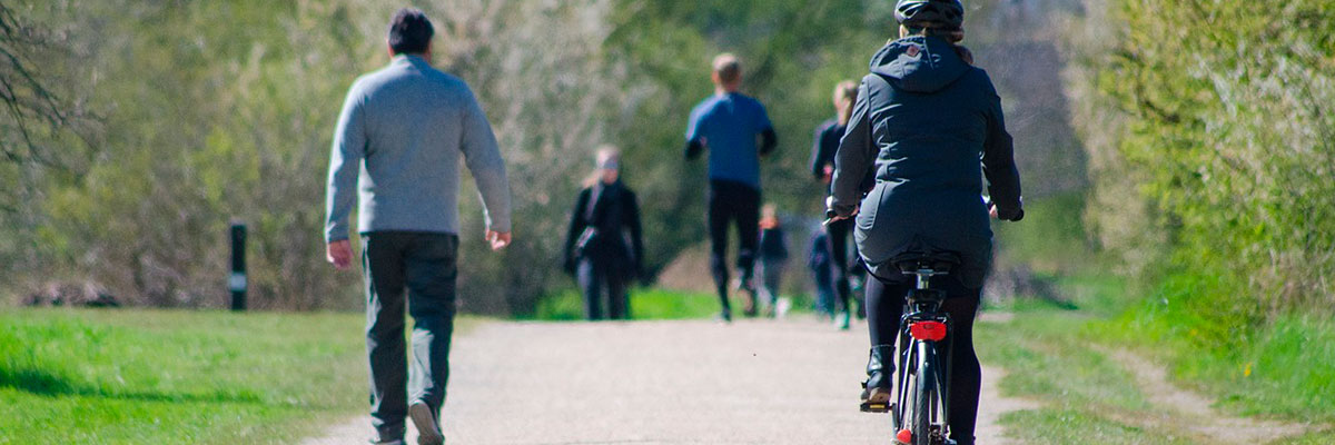 Baños de bosque urbanos