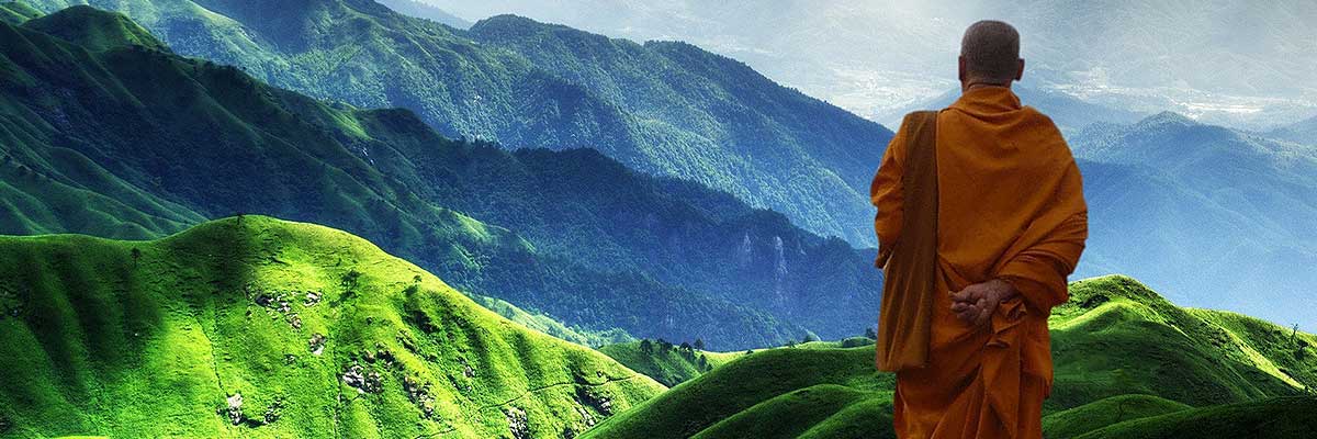 Un Viaje Interior: Explorando la Meditación con Daniel Goleman