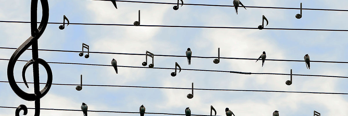 Sintonía Musical: La Clave para Encontrar tu Equilibrio